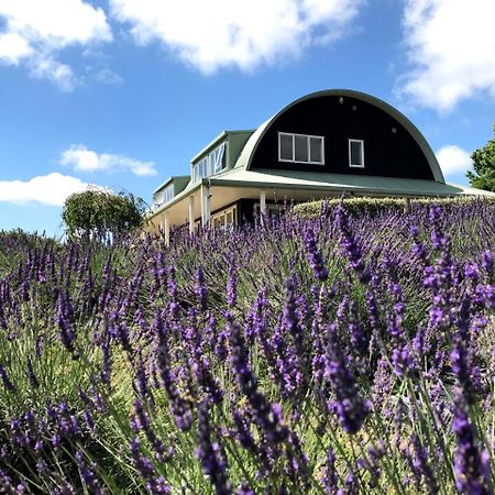 Lavender Hill Bed & Breakfast Riverhead Bagian luar foto