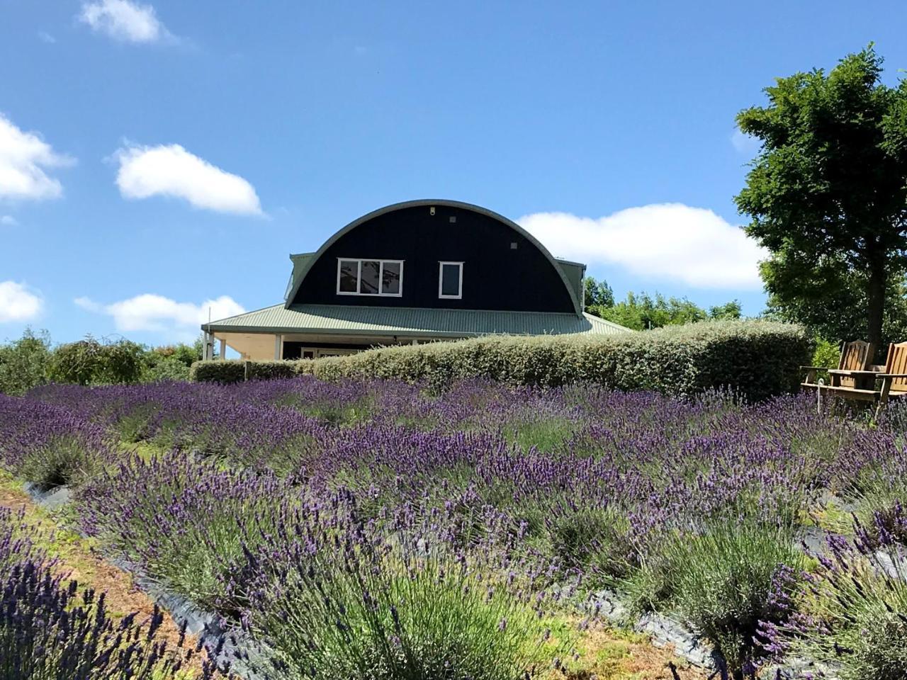 Lavender Hill Bed & Breakfast Riverhead Bagian luar foto