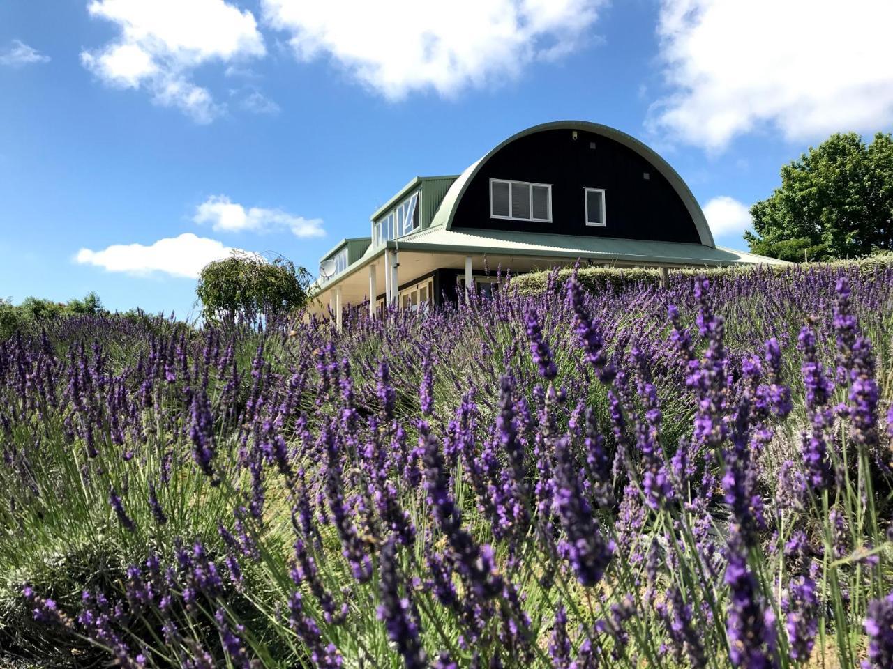 Lavender Hill Bed & Breakfast Riverhead Bagian luar foto